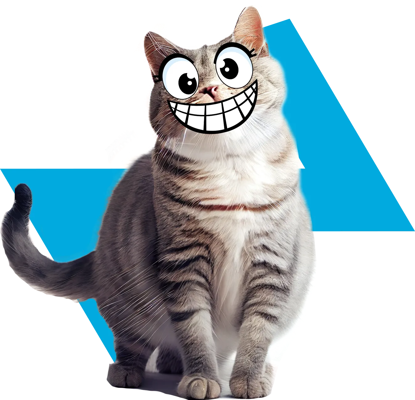 ZOOGABOOG! Cat Mascot