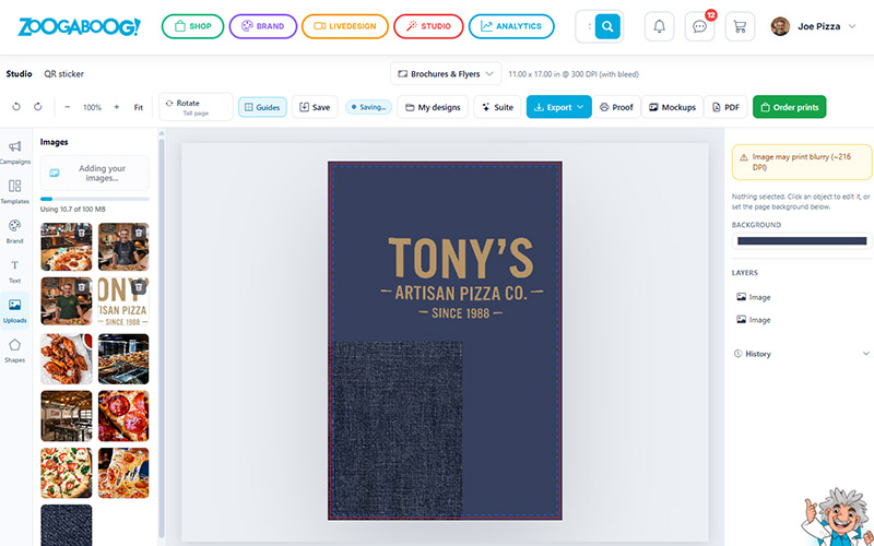 ZOOGABOOG! Studio design editor showing a brochure being customized