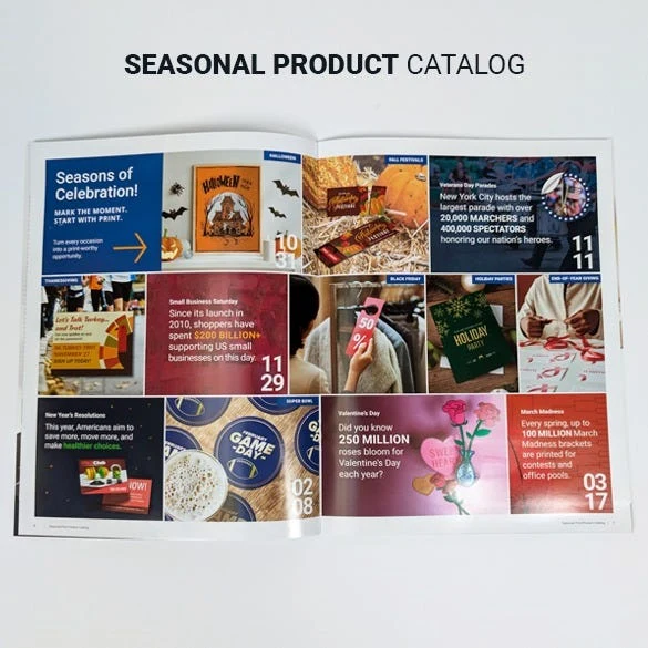 Catalogs 7